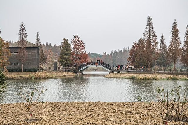 綠色濕地青西郊野公園