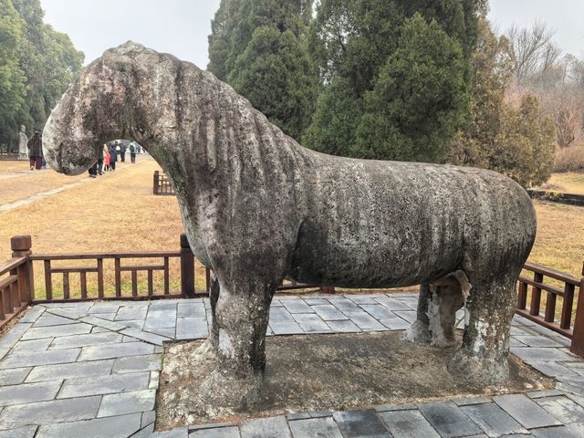 明顯陵