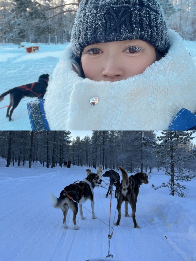 在芬蘭體驗北極圈二哈帶你飛馳人生