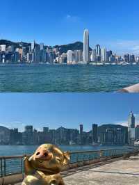 邂逅維多利亞港 | 一眼便是香港的浪漫與繁華