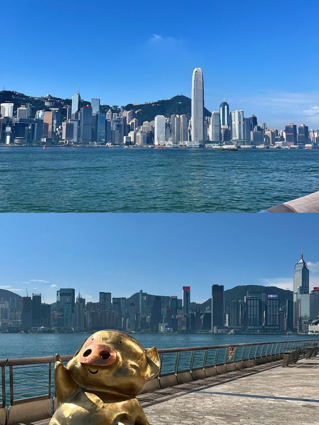 邂逅維多利亞港 | 一眼便是香港的浪漫與繁華