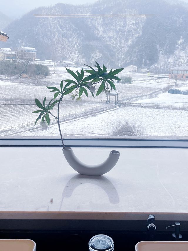 承包成個山林嘅小木屋瞓咗三日都唔想走！