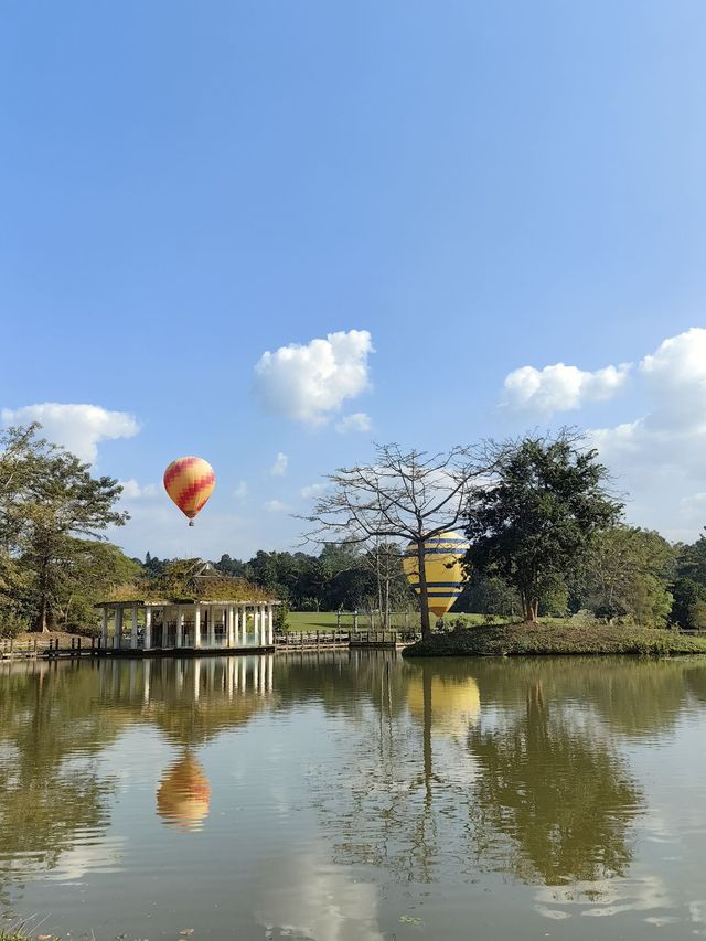 景洪探秘｜邂逅森林與年味的浪漫之旅