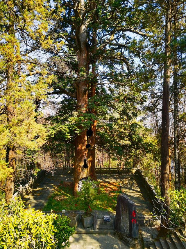 大理蒼山無為寺｜清幽古剎，小眾寶藏旅行地！