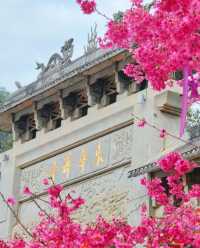 韶關翁源：千年禪宗道場～東華禪寺