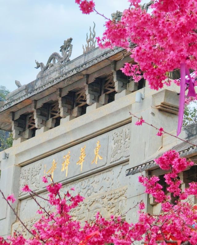 韶關翁源：千年禪宗道場～東華禪寺