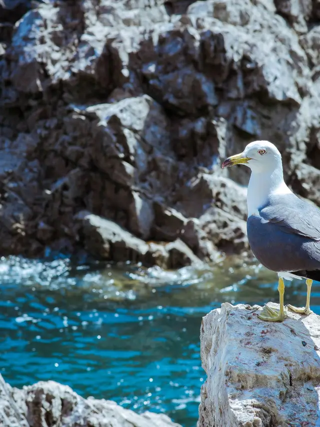 4-Day Weihai Itinerary