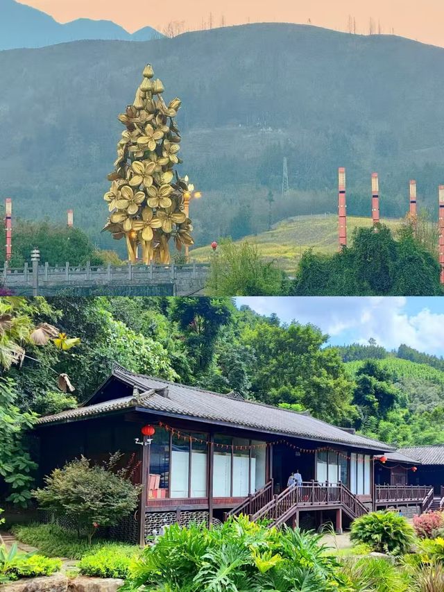 羅平受罪已回，要去的姊妹慎重。