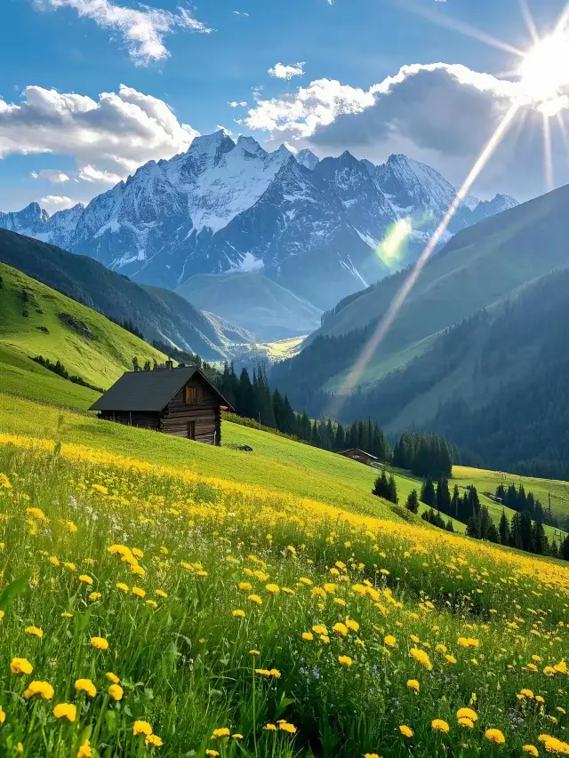 Gnie Trip: Answering All Your Questions