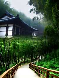 來韓國蔚山領略濱海風光
