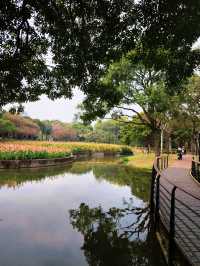 "躺平"就好啦城市公園的秘密邊界