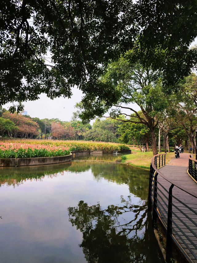 "躺平"就好啦城市公園的秘密邊界