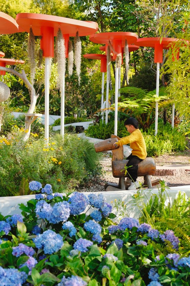 美哭花花世界又來廣州兒童公園