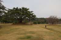 恩上濕地公園