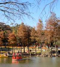 珠海都有夢幻莫奈花園，花開正盛