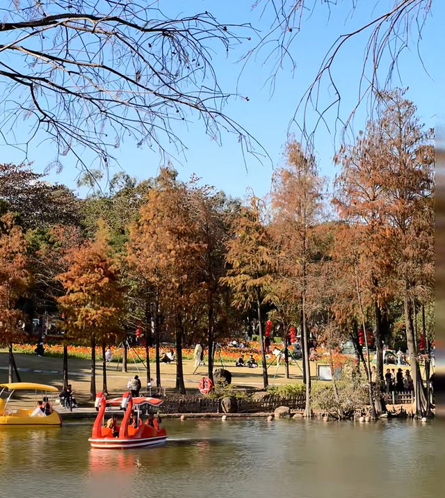 珠海都有夢幻莫奈花園，花開正盛