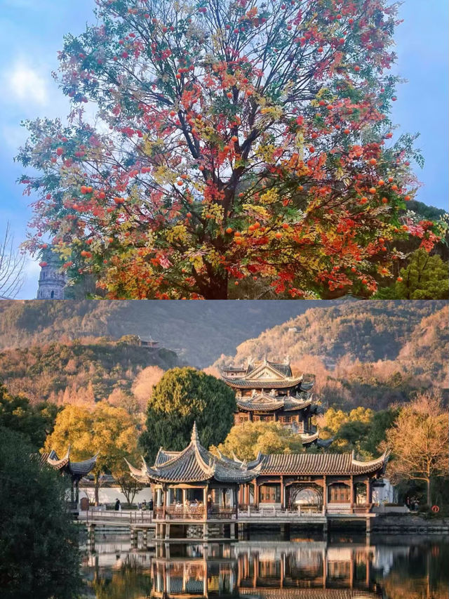 臨海三日遊，顛覆我的消費觀！