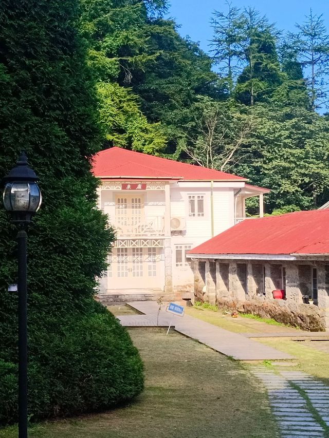寒假新發現江西南昌-廬山-景德鎮竟然這麼好玩