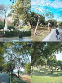 ZHONGSHAN PARK: 50 SHADES of GREEN ☘