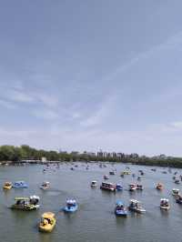 玉淵潭公園｜一場浪漫的春日奔赴