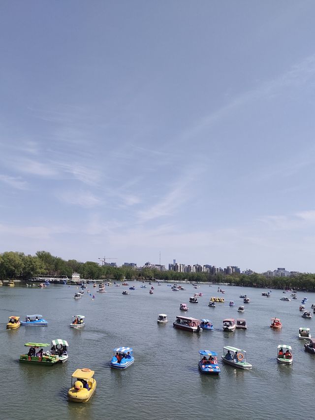 玉淵潭公園｜一場浪漫的春日奔赴
