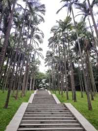 南寧人民公園，寶藏遛娃遊玩攻略