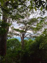 清明踏春五指山等你來探秘
