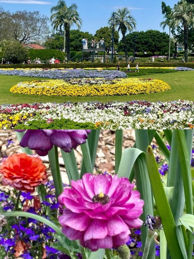 探索圖文巴：澳洲花園之都奇幻之旅