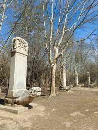 奧林匹克森林公園南園