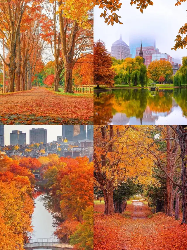 5-Day Multi-Country Tour: Unveiling the Hottest Itinerary