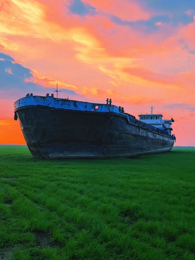 春日已綠鄱陽湖草海，美到窒息嘅仙境