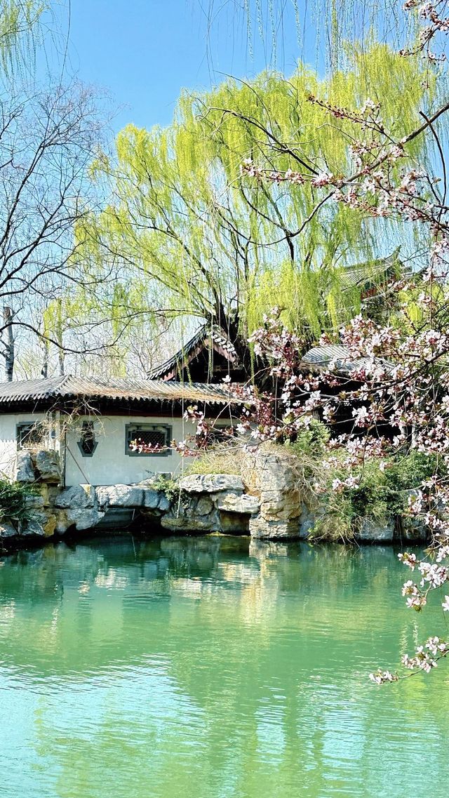 3月實拍|濟南的春天真的絕了 3月實拍|濟南的春天真的絕了