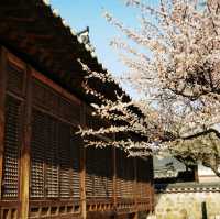 A few  days in Seoul