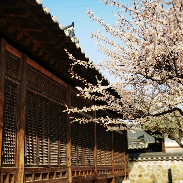 A few  days in Seoul