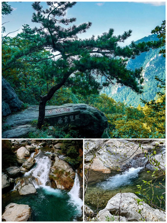 去了5次廬山，整理出來的攻略