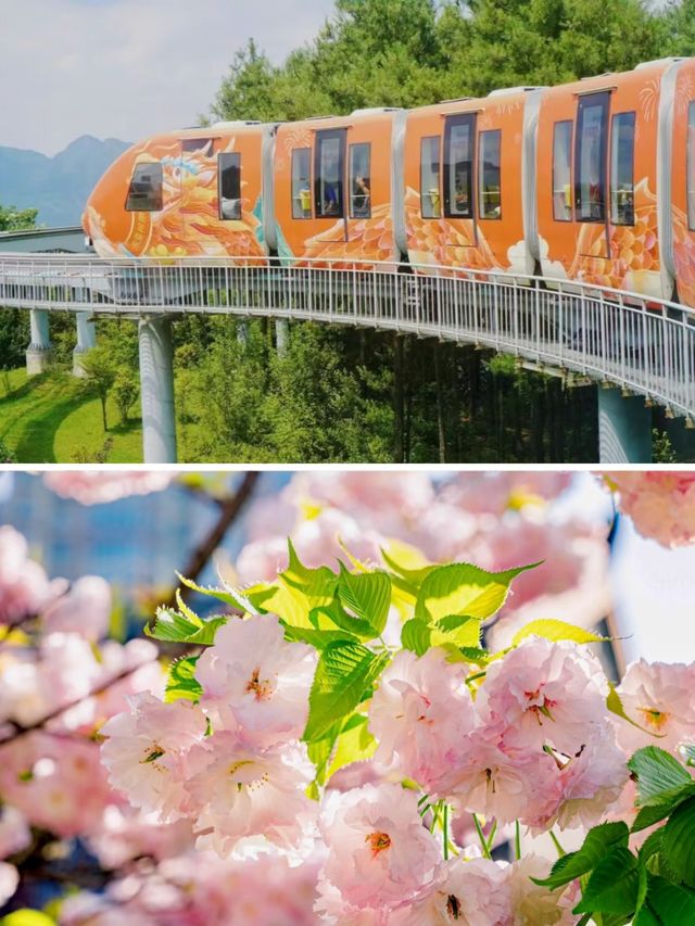 六盤水已返，我嘅消費觀崩塌咗。