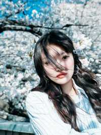🌸首爾林賞櫻攻略：漫步粉色花海的浪漫之旅💕