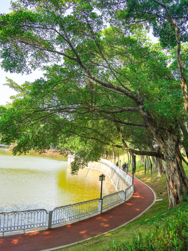 分享廣州大金鐘水庫