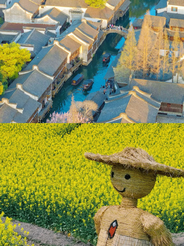 烏鎮，枕水江南的千年遺夢