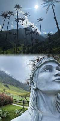 哥倫比亞 Cocora 山谷徒步全攻略：避坑指南，省錢省力！