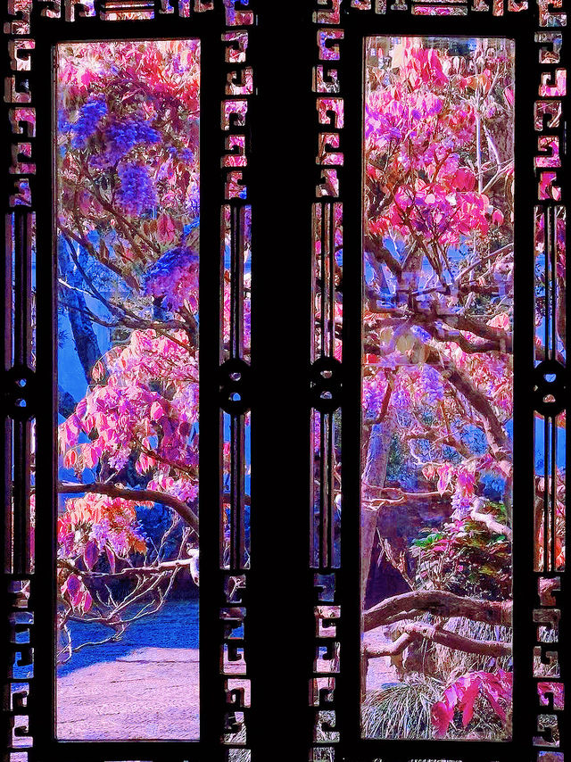 杭州春日漫遊：西湖與西溪的桃花之約