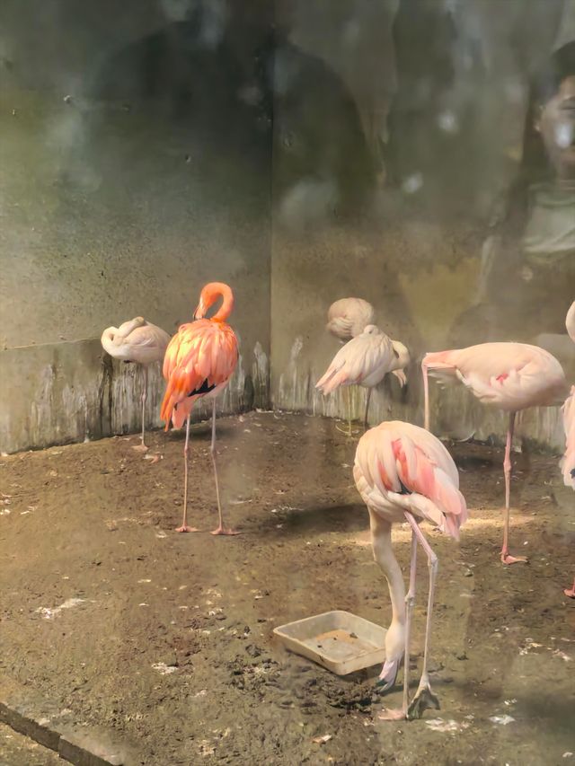 蘭州野生動物園攻略！看萌獸逛海洋，親子遊必打卡