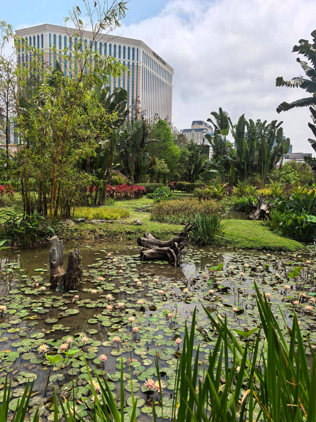 🌳澳門龍環葡韻濕地公園，夢幻之境
