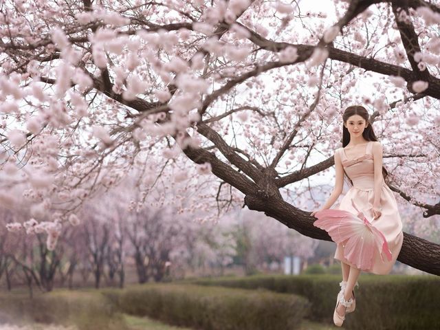這麼美的梅花在長春。
