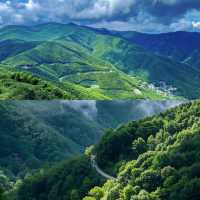 4-6月去莫干山的碼住 保姆級攻略！