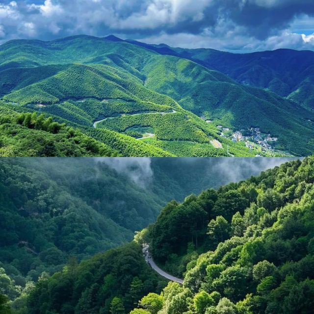 4-6月去莫干山的碼住 保姆級攻略！
