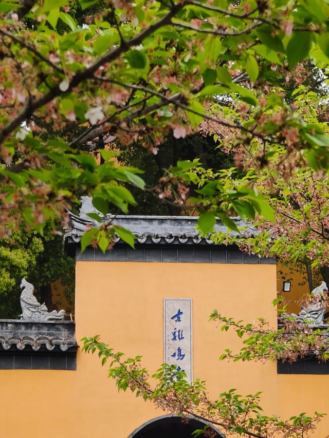 剛到南京。。。非常後悔!!!