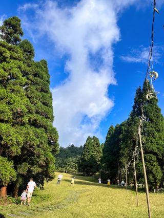 Darong Mountain National Forest Park