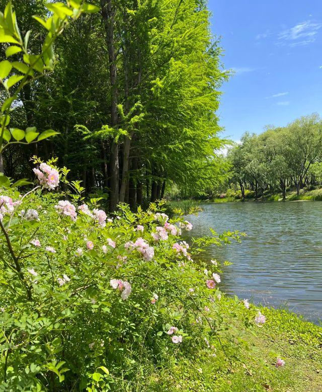 虎丘濕地公園