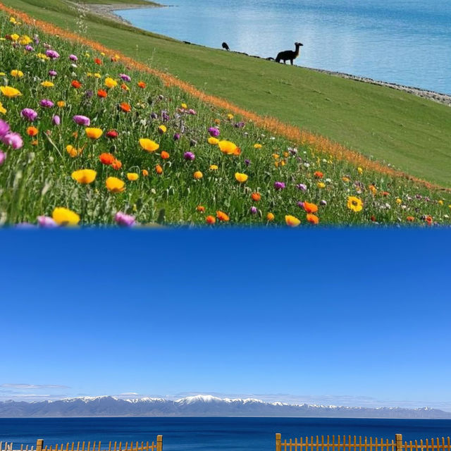 賽里木湖：大西洋嘅最後一滴藍眼淚